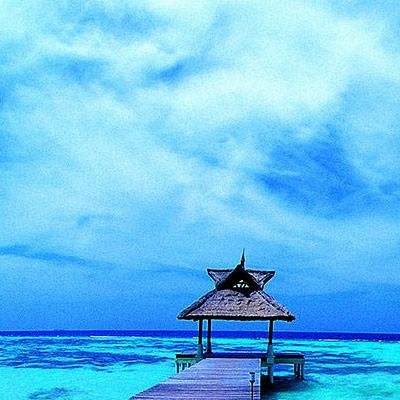 bob官方体育综合下载