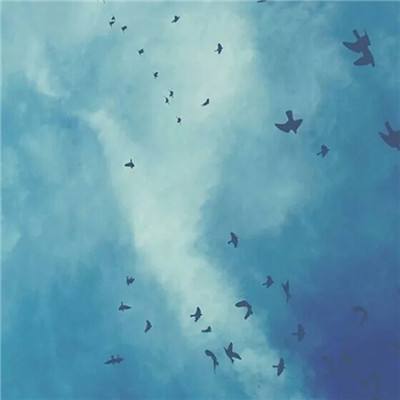 体育投注网址365