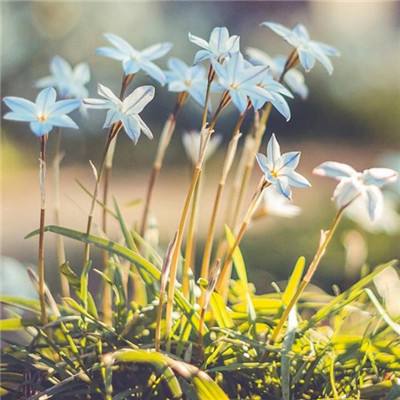 Kaiyun手机app下载