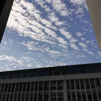 博鱼app下载(中国)官方网站